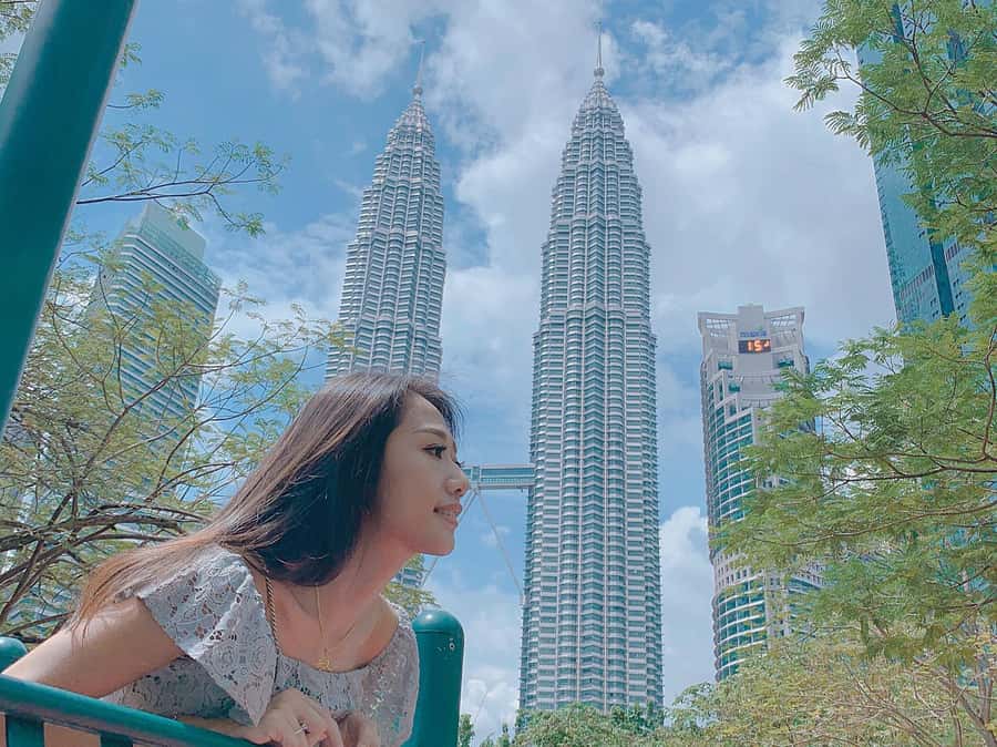 Kuala Lumpur: 4-Hour Tour & KL Towers Visit [Private] - A useful first look at Kuala Lumpur