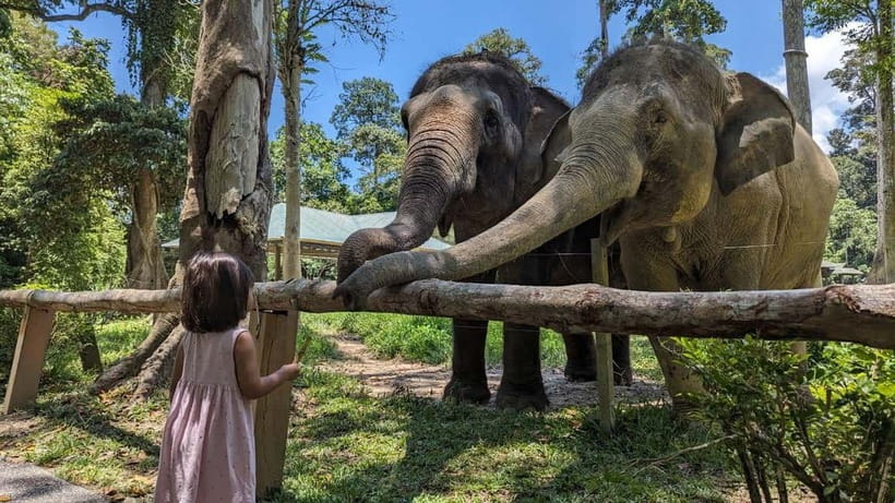 Kuala Lumpur: Batu Caves & Kuala Gandah Elephant Sanctuary - Starting the day from Kuala Lumpur