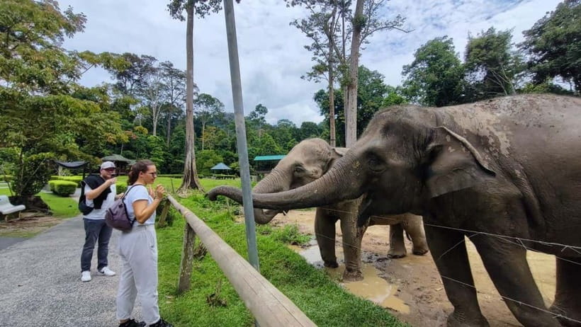 Kuala Lumpur: Batu Caves & Kuala Gandah Elephant Sanctuary - The one-hour Deerland Park stop