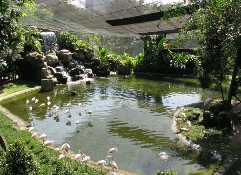 Kuala Lumpur: Bird Park, Butterfly & Garden Private Tour - Key points at a glance