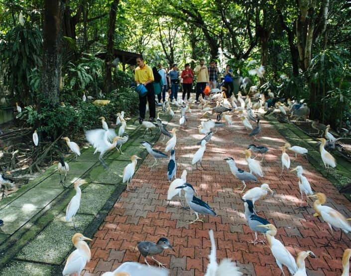 Kuala Lumpur: Bird Park, Butterfly & Garden Private Tour - Walking through Kuala Lumpur Bird Park