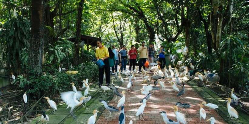Kuala Lumpur: Bird Park, Butterfly & Garden Private Tour - Meeting the butterflies at close range