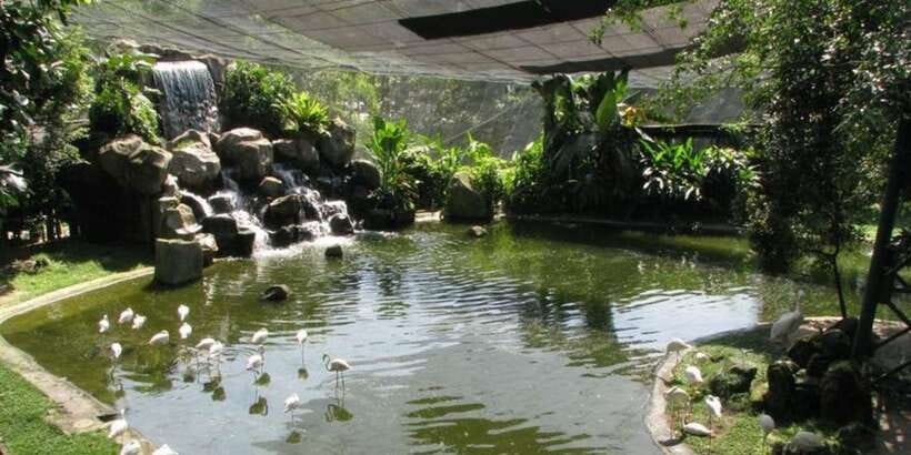 Kuala Lumpur: Bird Park, Butterfly & Garden Private Tour - How much value do you get for $79?