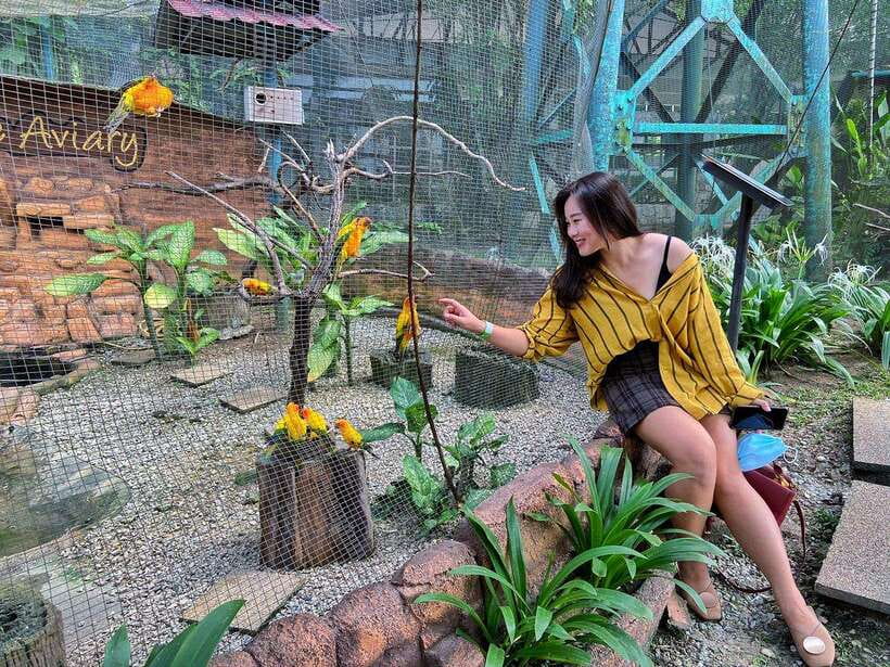 Kuala Lumpur: Bird Park Day Ticket & 1-Way Transfer - Family appeal and the parrot interaction