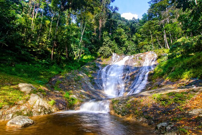 Kuala Lumpur: Cameron Highlands & Batu Caves Private Day Tour - BOH Sungai Palas is the day’s main tea stop