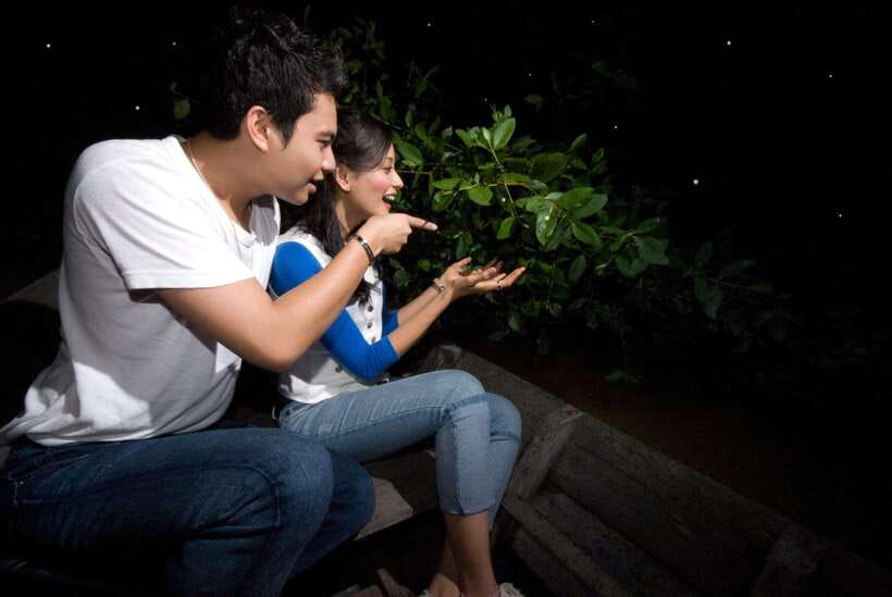 Kuala Lumpur: Fireflies & Blue Tears Tour with Seafood Meal - FAQ
