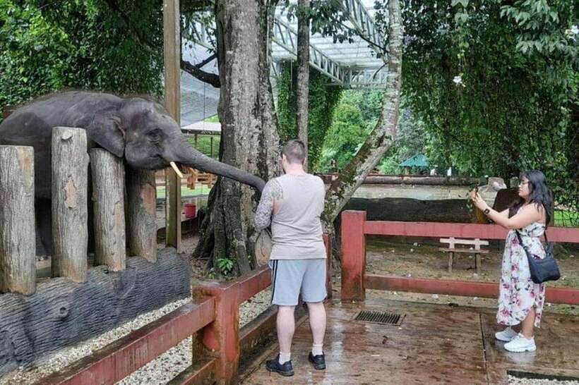 Kuala Lumpur: Kuala Gandah and Batu Caves Private Trip - Drivers make or break the day
