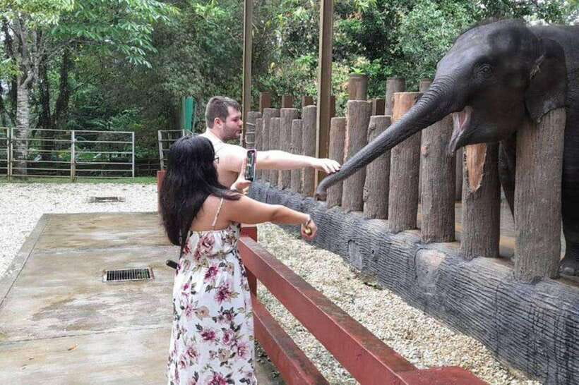 Kuala Lumpur: Kuala Gandah and Batu Caves Private Trip - Who will get the most from this trip?