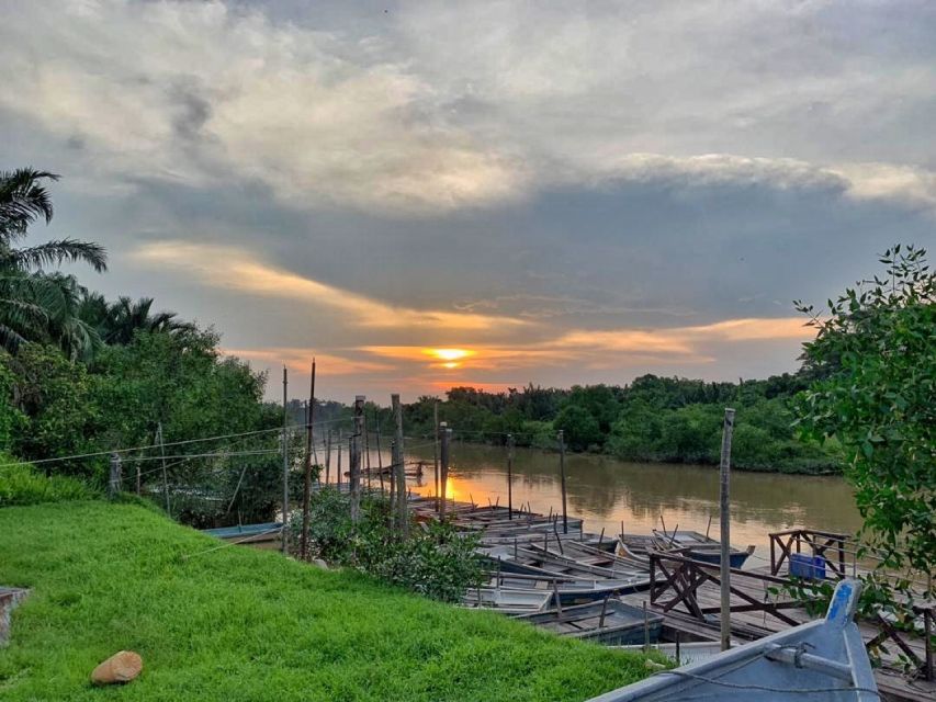 Kuala Lumpur: Kuala Selangor Fireflies and Blue Tears Tour - Who should book this Selangor evening?