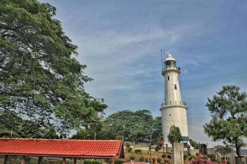 Kuala Lumpur: Kuala Selangor Fireflies and Blue Tears Tour - Searching for Blue Tears after sunset