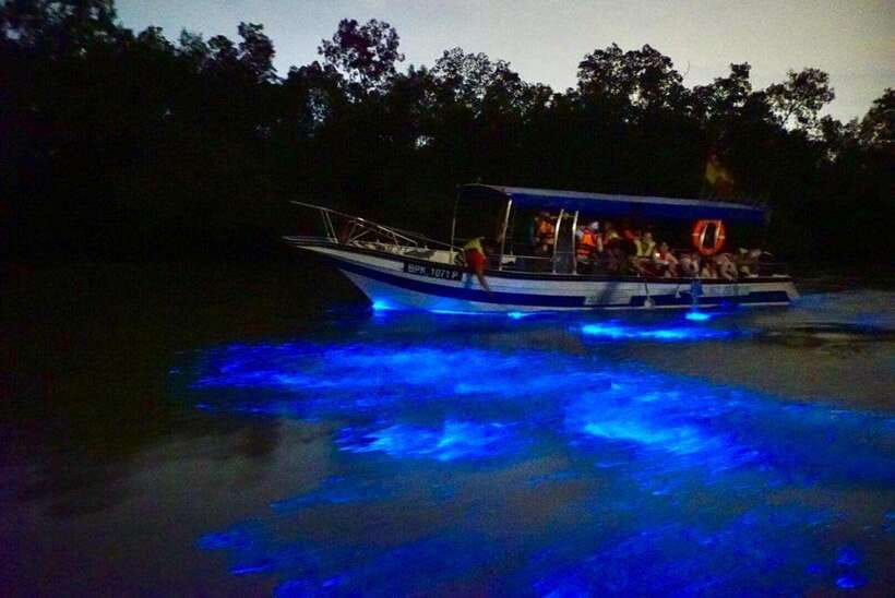 Kuala Lumpur: Kuala Selangor Fireflies and Blue Tears Tour - What the $79 price really covers