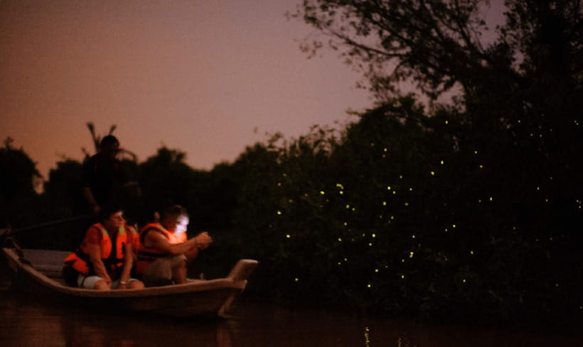 Kuala Lumpur: Kuala Selangor Firefly Tour and Dinner - The route detail that needs clarification