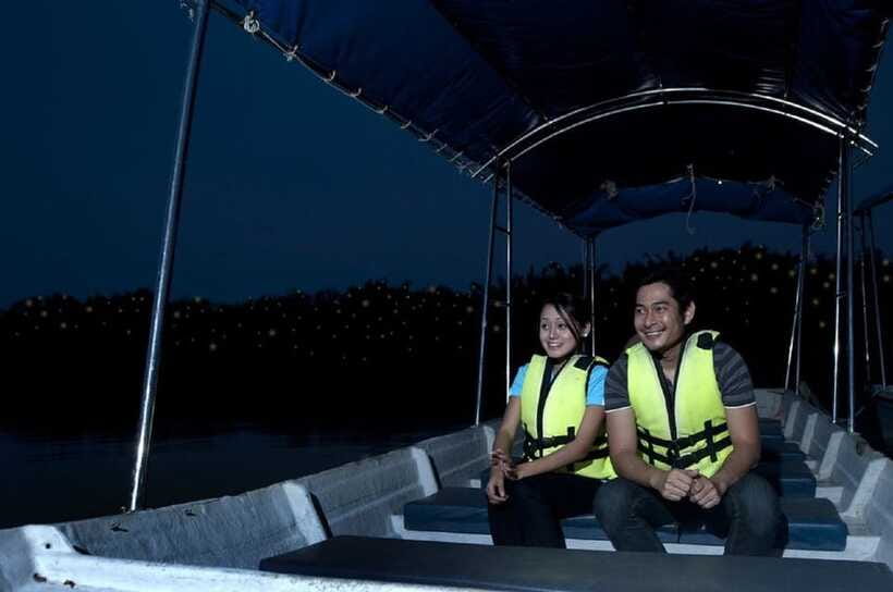Kuala Lumpur: Kuala Selangor Firefly Tour and Dinner - Who will enjoy this six-hour outing