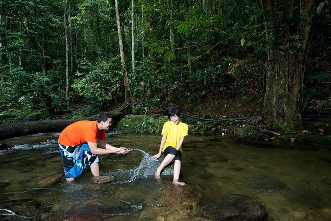 Kuala Lumpur Private Tour to Batu Caves Hotsprings And Waterfalls - Starting at Batu Caves and the 272 steps