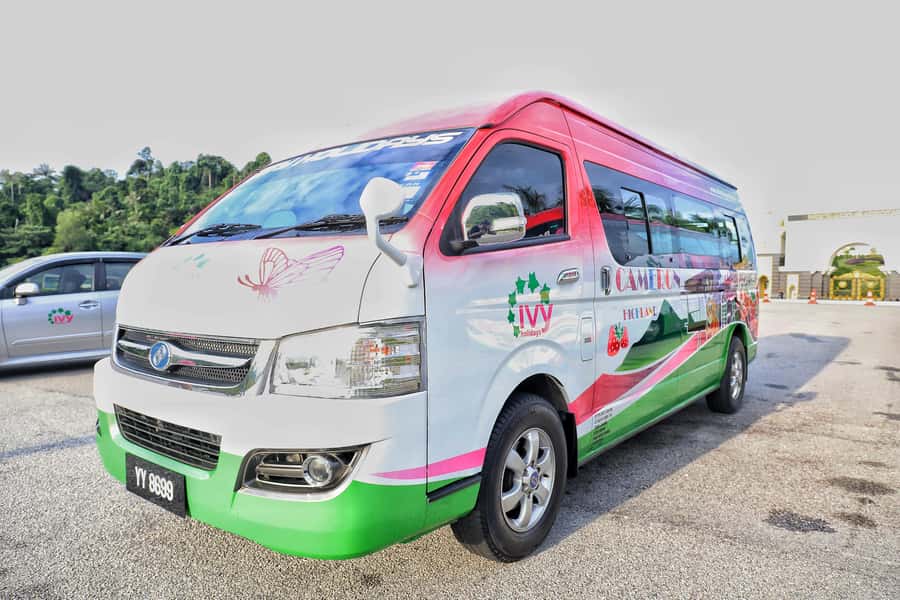 Kuala Lumpur: Sightseeing by Private Vehicle with Driver - Who should book this experience?