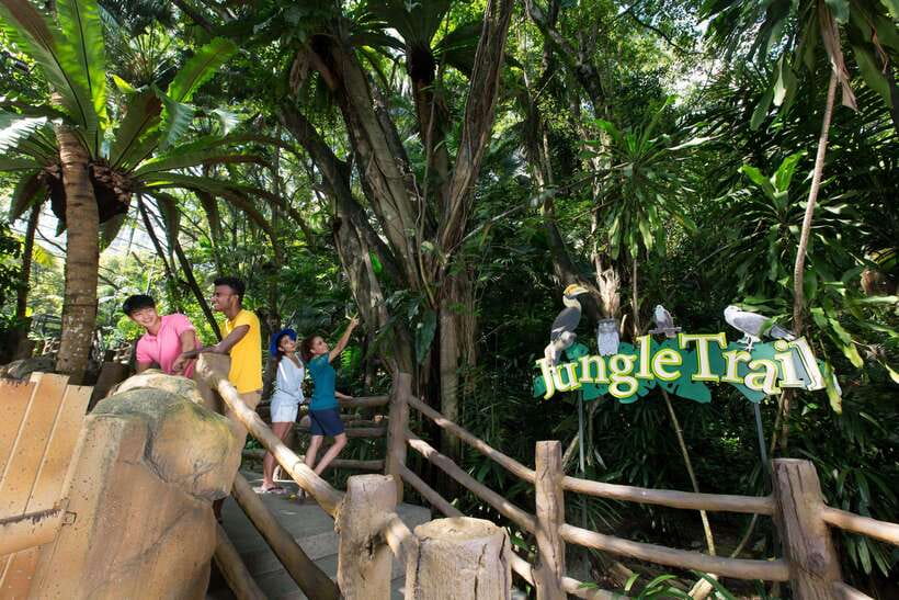 Kuala Lumpur: Sunway Lagoon Entry Ticket - Extreme Park for Serious Adrenaline