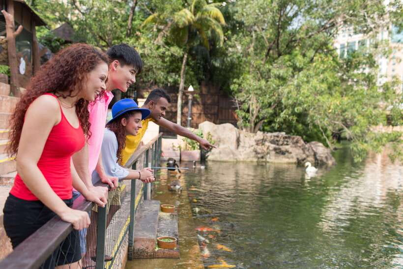 Kuala Lumpur: Sunway Lagoon Entry Ticket - How to Build a Sensible One-Day Plan