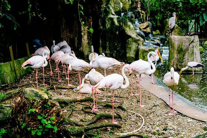 Kuala Selangor Sky Mirror Experience – Natural Mirror Beach Tour - Practical advice for a smoother morning