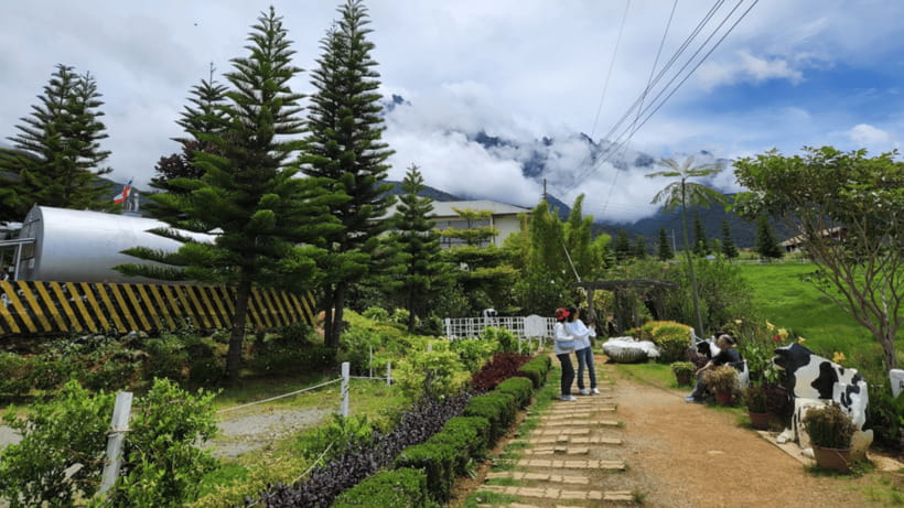 Kundasang: Day Tour with Desa Dairy Farm and Alpaca Club - What the private format feels like