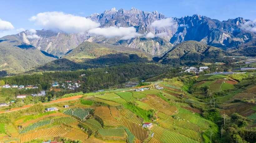 Kundasang: Day Tour with Desa Dairy Farm and Alpaca Club - Is $116 good value?