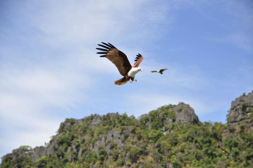 Langkawi: 6-Hour Private Island Highlights Tour - Why this private Langkawi tour works well