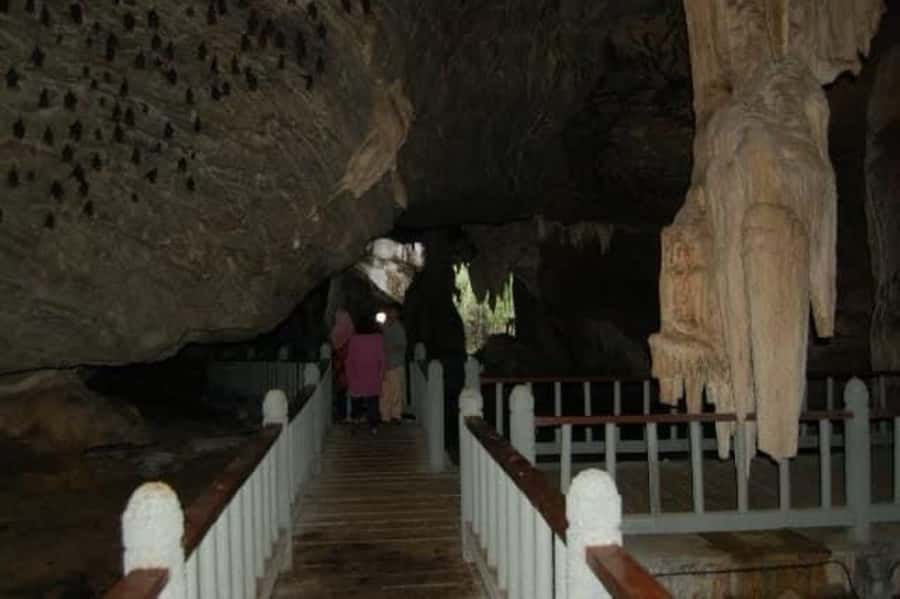 Langkawi: Boat Tour to Magic Island & Mangrove Cruise - Starting at Checkpoint 2 near the jetty