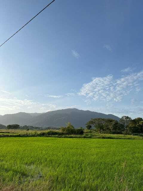 Langkawi: Countryside Bike Tour, Waterfall Swim & Dessert - Who will enjoy this tour most?