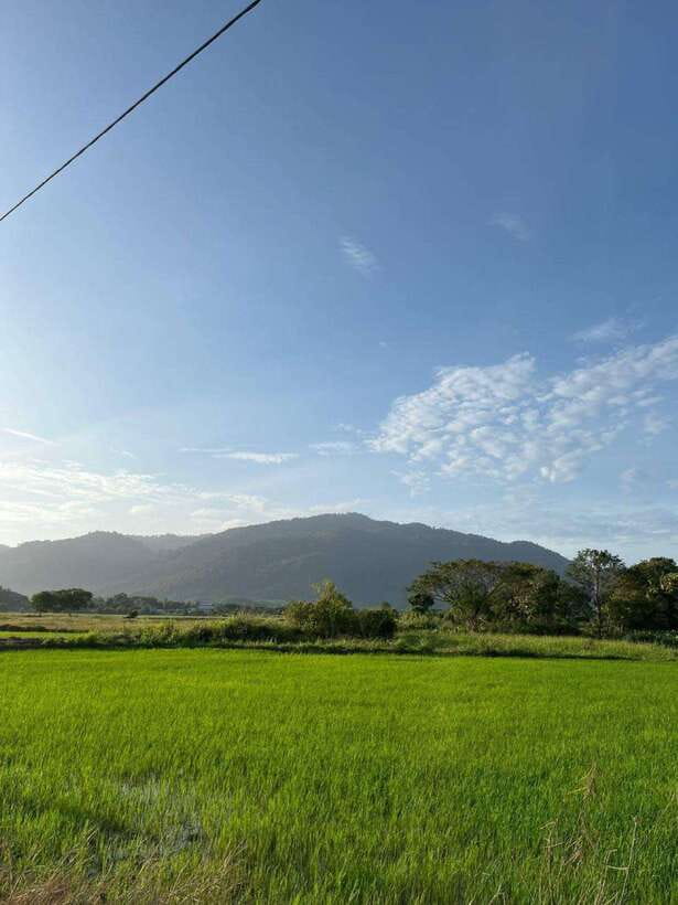 Langkawi: Countryside Bike Tour, Waterfall Swim & Dessert - Rice fields, villages, birds, and livestock