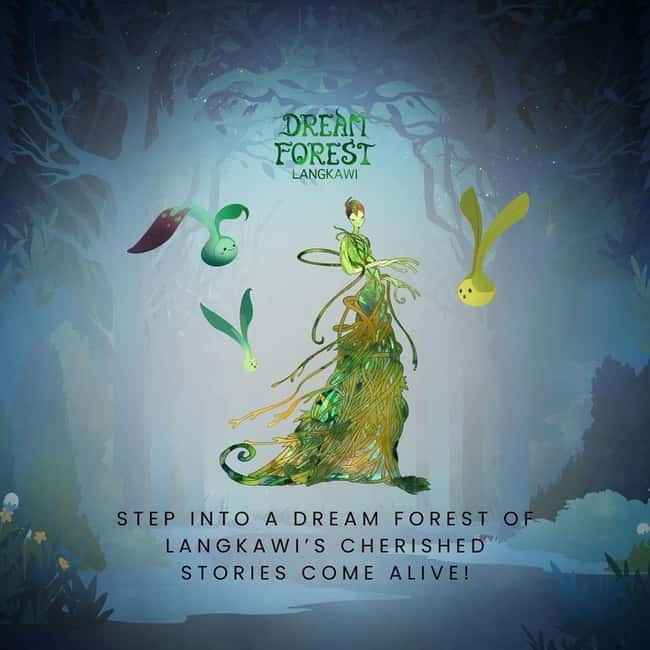 Langkawi: Dream Forest Langkawi Standard Admission Ticket - Following the rainforest canopies after dark