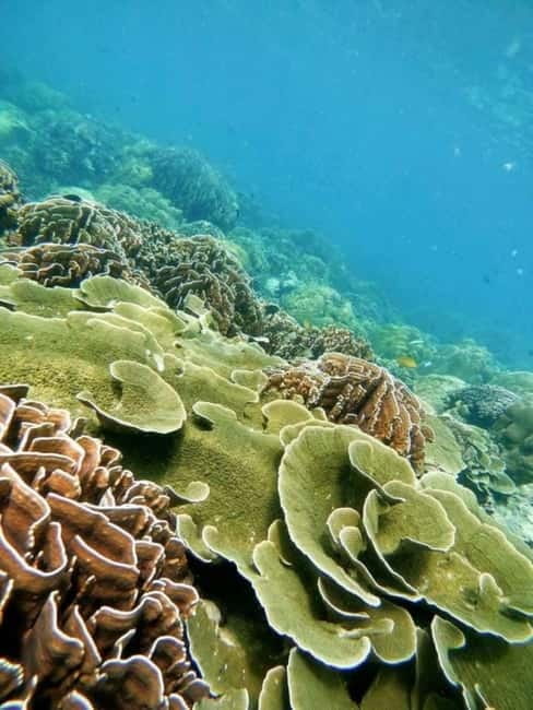 Langkawi: Floating Restaurant & Snorkeling Trip - What Makes This Trip Worth Considering