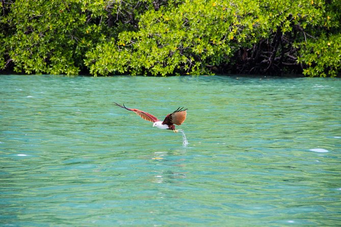 Langkawi Half Day Island Hoping Tour- Sharing basis - What this half-day boat trip actually offers
