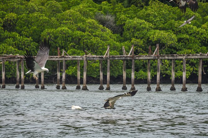 Langkawi Half Day Island Hoping Tour- Sharing basis - An hour at Beras Basah Island