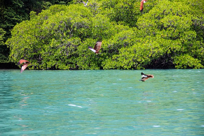 Langkawi Half Day Island Hoping Tour- Sharing basis - Pickup, timing, and what the $59 covers