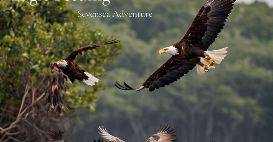 Langkawi: Half-Day Private Kilim River Mangrove Boat Tour - Guides and communication