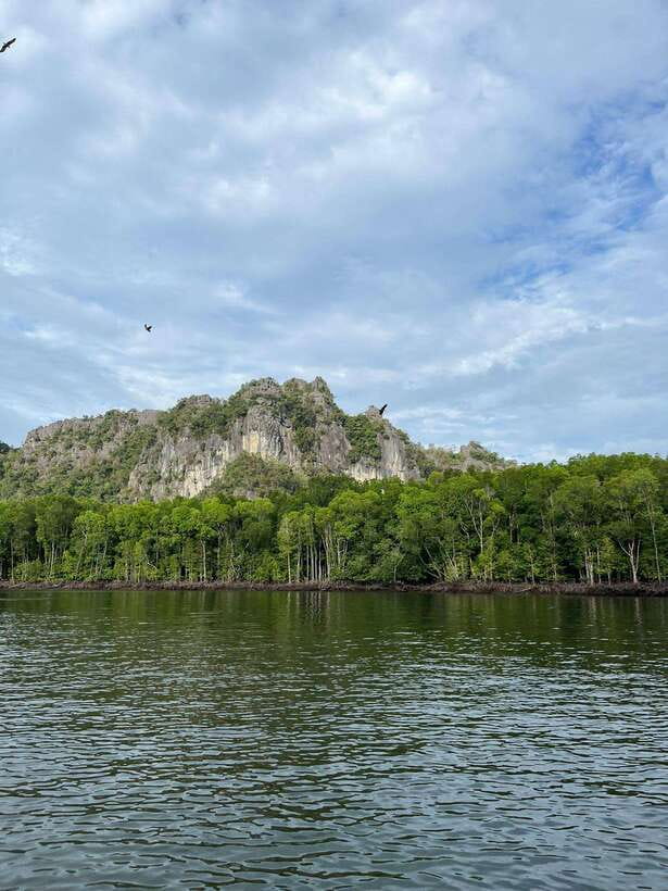 Langkawi: Half-Day Private Kilim River Mangrove Boat Tour - Starting at Kilim Geoforest Park