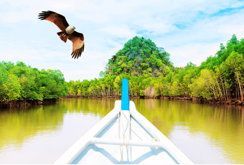 Langkawi: Half- or Full-Day Private Car Tour of Highlights - The drivers make or break the experience