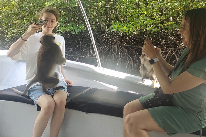 Langkawi Highlights Day Tour - ATV, Mangrove Cruise & Cable Car - Cable car views and express-lane access