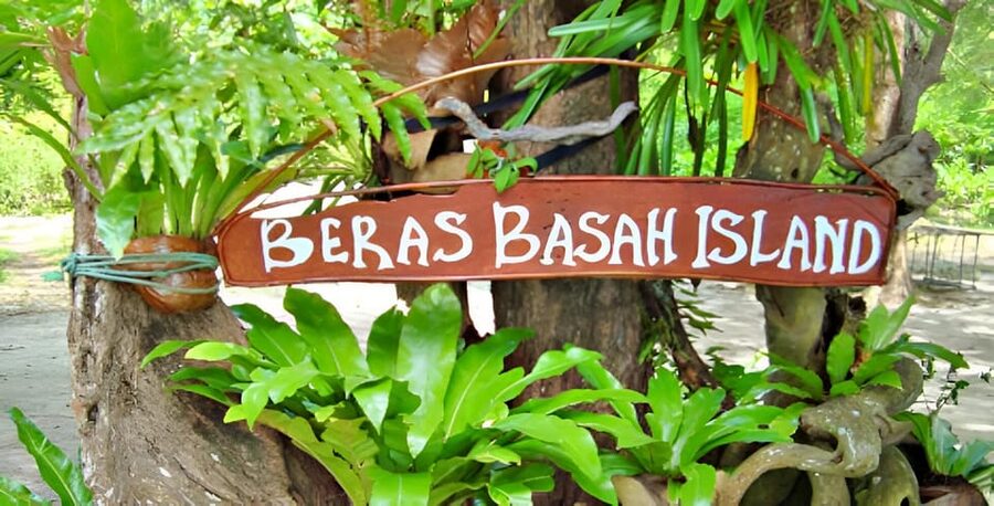 Langkawi: Island Hopping Shared or Private Boat Options - Underwater scenery and swimming time