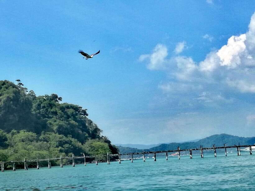 Langkawi: Island Hopping Tour - Singa Besar and the wildlife viewing