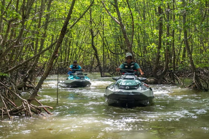 Langkawi: Jet Ski Tour UNESCO Kilim Geopark Free Video - Eagles over the mangrove canopy