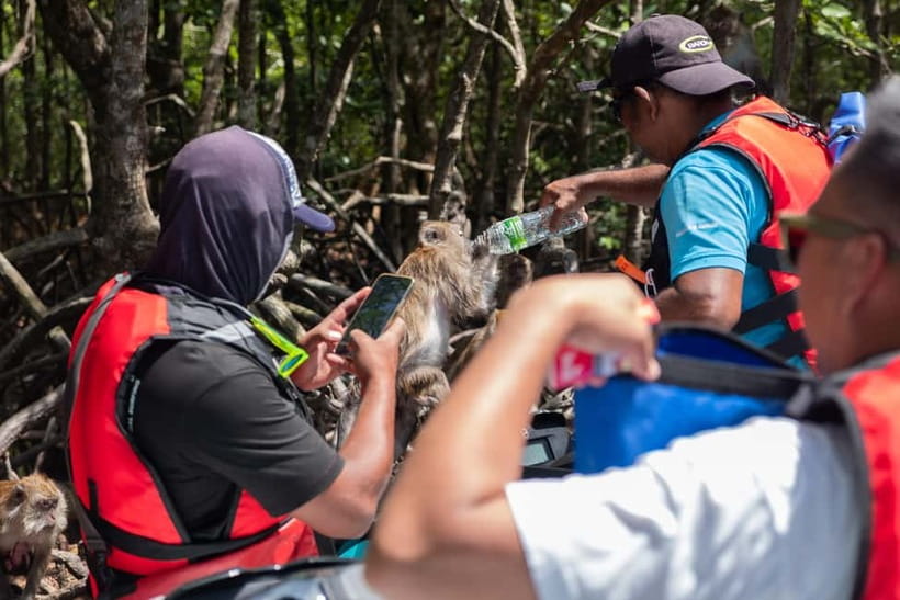 Langkawi: Jet Ski Tour UNESCO Kilim Geopark Free Video - The final view across the Andaman Sea