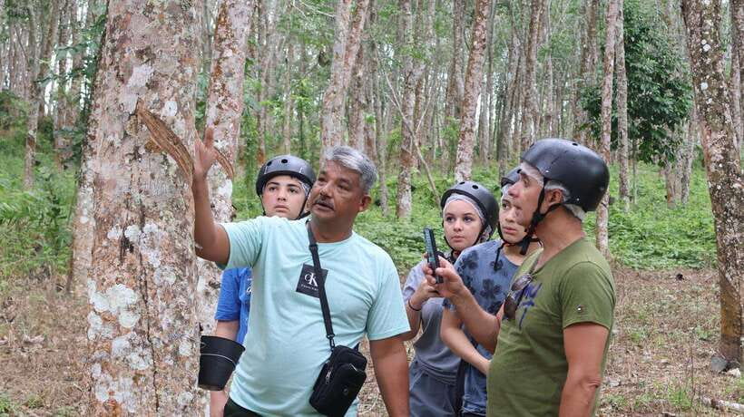 Langkawi Jungle and Waterfall Adventure - Key points at a glance