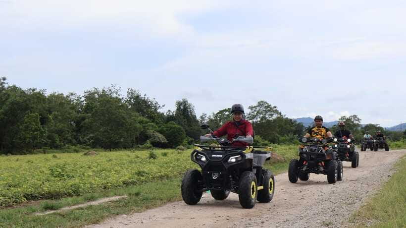 Langkawi Jungle and Waterfall Adventure - The final jungle trail ends on a high note