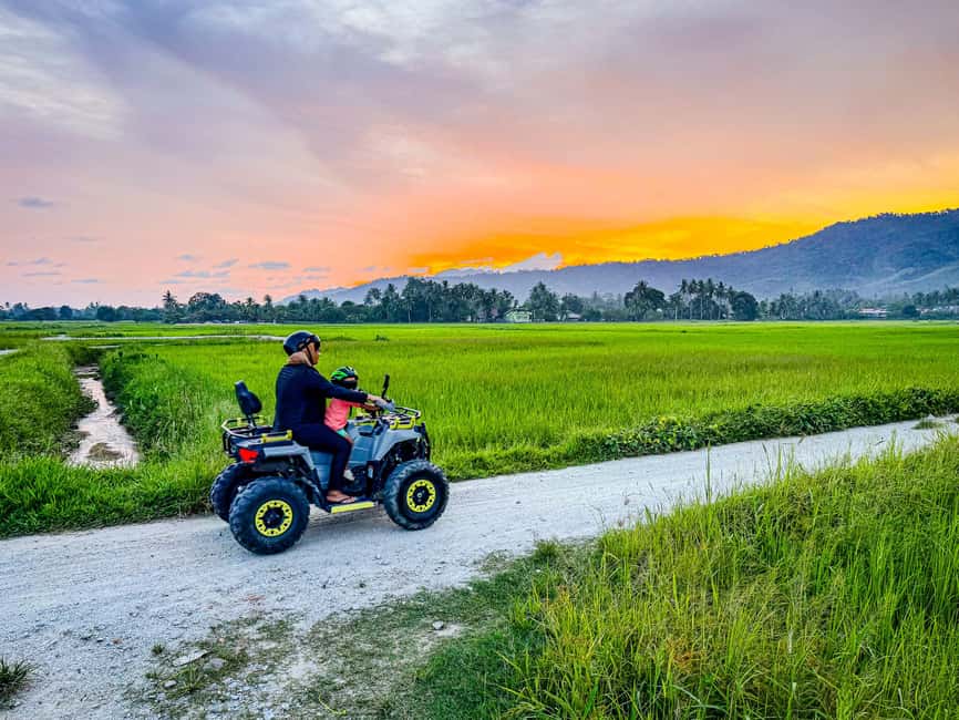 Langkawi Jungle and Waterfall Adventure (Golden Hour) - Rubber plantations and the story of latex