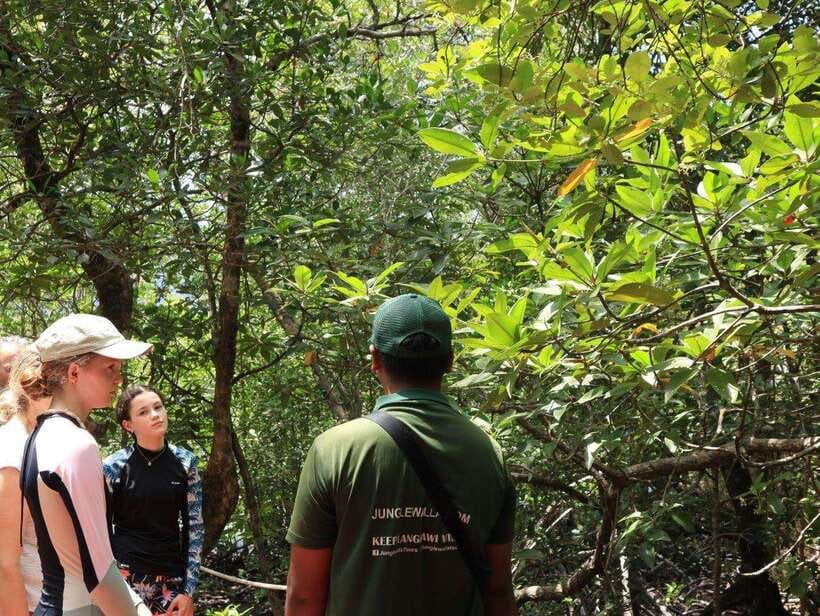 Langkawi: Kayaking Adventure and Swimming - What makes this Langkawi kayak trip worthwhile