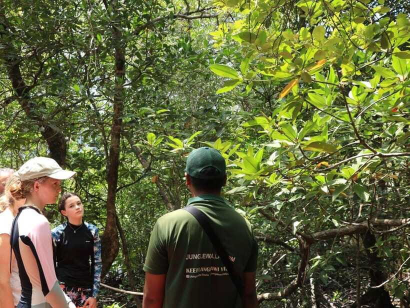 Langkawi: Kayaking Adventure and Swimming - Is $48 a fair price?