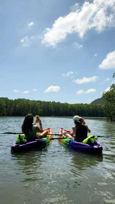 Langkawi : Kilim Geoforest Mangrove Kayak Tour with Lunch - Why the Kilim mangroves are worth your morning