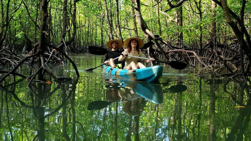 Langkawi : Kilim Geoforest Mangrove Kayak Tour with Lunch - A calm safety briefing and easy start