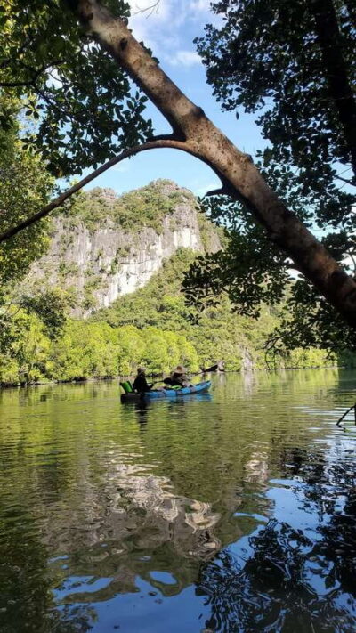 Kilim Geoforest Mangrove Kayak Tour with Lunch