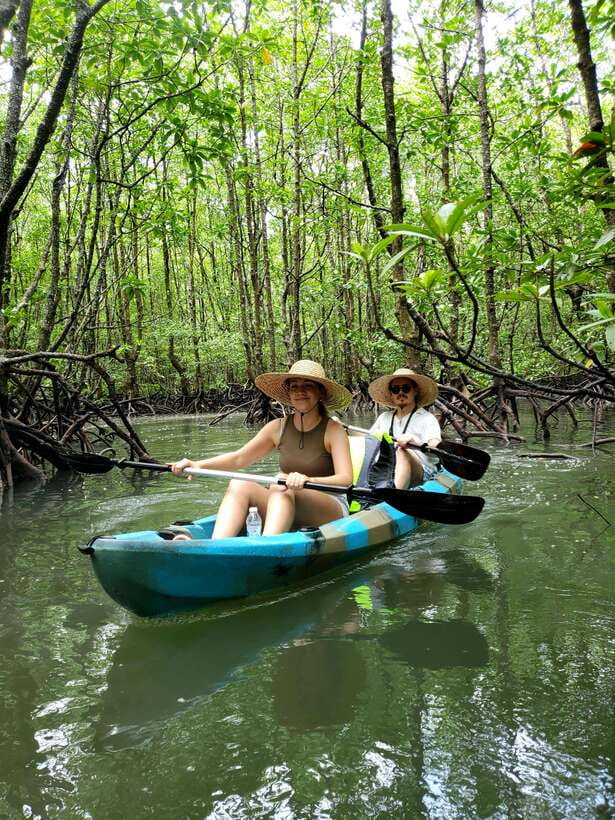 Langkawi : Kilim Geoforest Mangrove Kayak Tour with Lunch - Paddling into channels that boats cannot reach